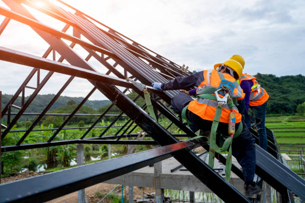 Best Roof Installation Near Me  in Caryville, TN