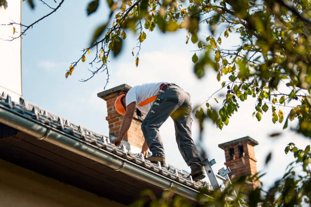 Best Commercial Roofing Services  in Caryville, TN