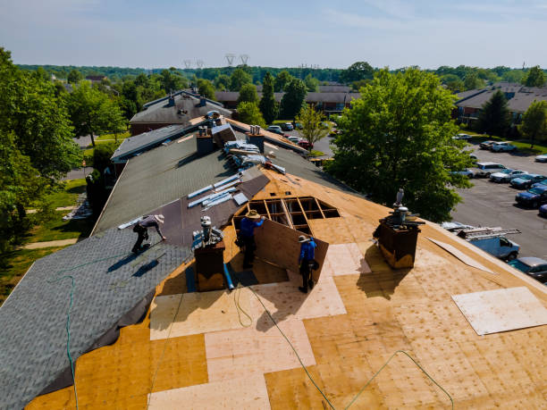 Best Local Roofing Companies  in Caryville, TN