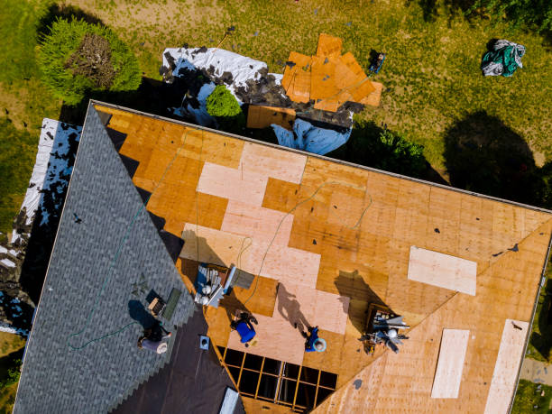 Best Gutter Installation and Roofing  in Caryville, TN