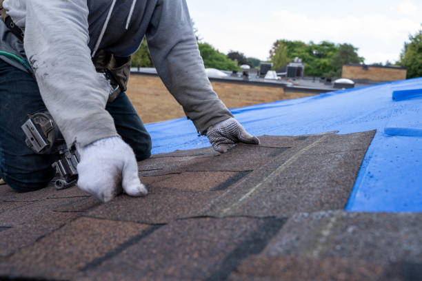 Best Flat Roof Repair Services  in Caryville, TN