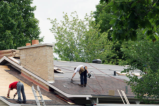 Best Emergency Roof Repair  in Caryville, TN