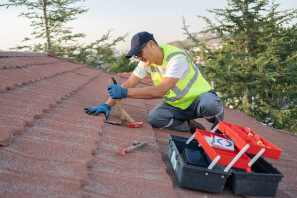 Best Roof Repair Services  in Caryville, TN