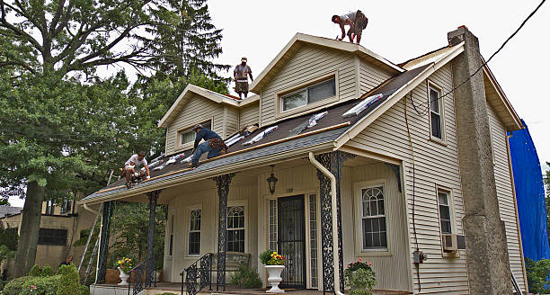 Best New Roof Installation  in Caryville, TN
