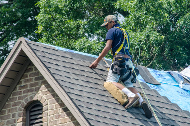 Best Affordable Roofing Company  in Caryville, TN